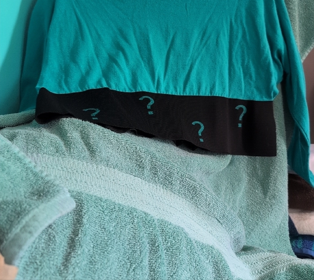 Crop Top With ❓on The Waist, It's Cropped Vibes 1980s ??? Vtg - Picture 4 of 9